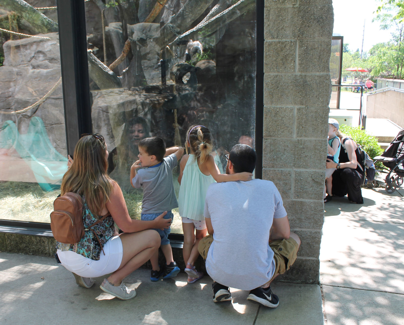 Zoo photo 4